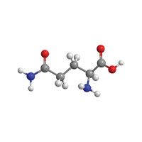 L-Glutamín